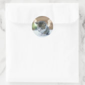 Catwing Sticker (Tas)