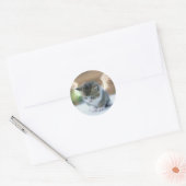 Catwing Sticker (Envelop)