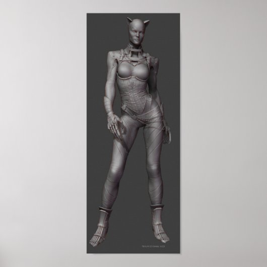 Catwoman Alternate Poster (Voorkant)