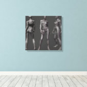 Catwoman Alternate Turnround Canvas Afdruk (Insitu (Houten vloer))