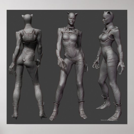 Catwoman Alternate Turnround Poster (Voorkant)