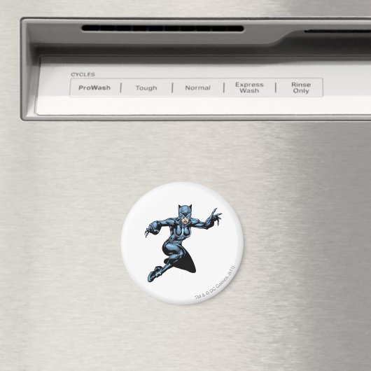 Catwoman met wetten magneet (Insitu (Vaatwasser))