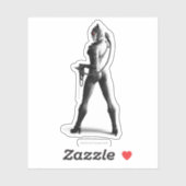 Catwoman met Whip Sticker (Vel)