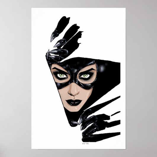 Catwoman The Claws Are Out Cover Illustration Poster (Voorkant)