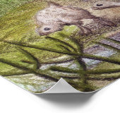 Caudipteryx Print (Hoek)