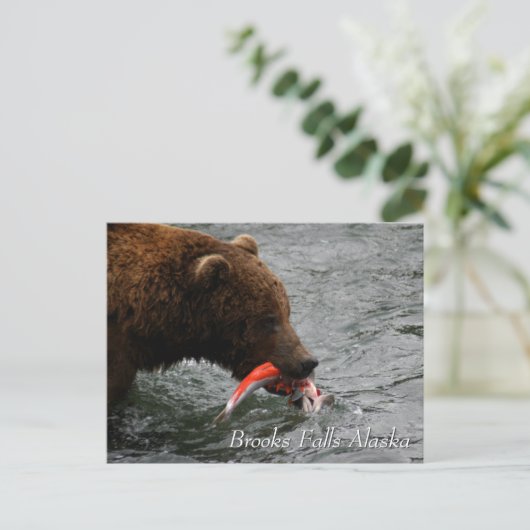 Caught, Brooks Falls Alaska  Briefkaart (Staand voorkant)