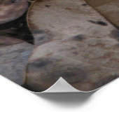 Cauliflower Fungus Poster (Hoek)