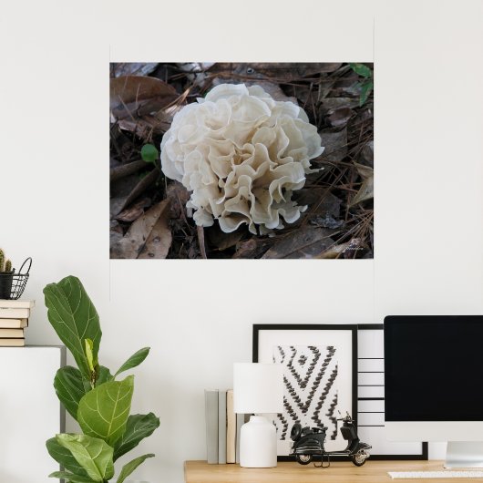 Cauliflower Fungus Poster (Thuiskantoor)