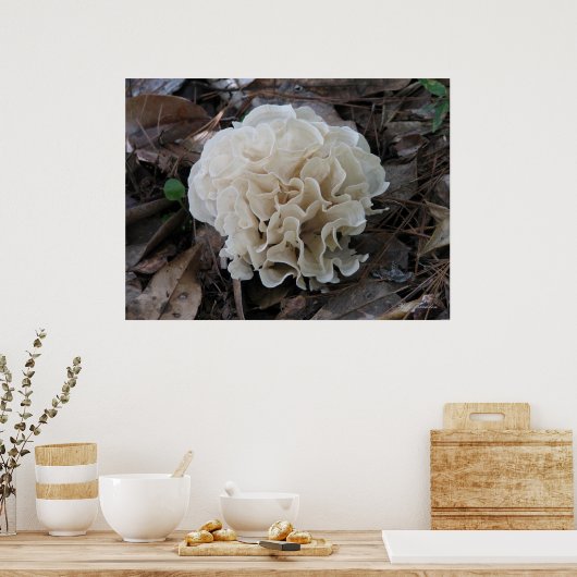 Cauliflower Fungus Poster (Keuken)