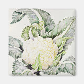 Cauliflower Study 1993 Magneet (Voorkant)