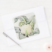 Cauliflower Study 1993 Vierkante Sticker (Envelop)