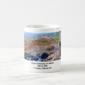 Causeway II van Giant Koffiemok (Center)