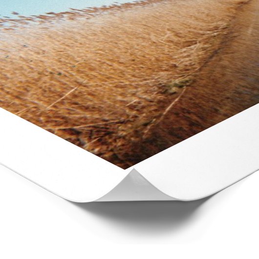 Causeway Poster (Hoek)