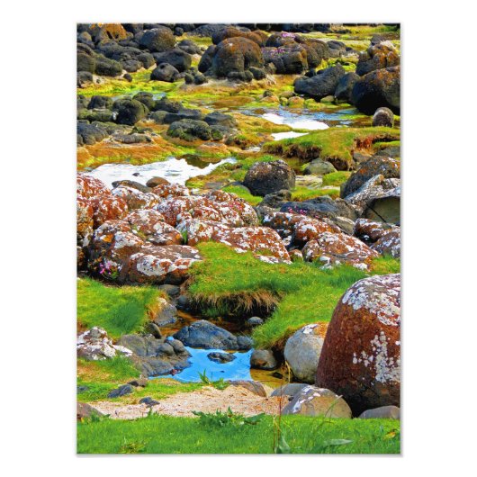 Causeway van Giant - Uitzicht 2 Foto Afdruk (Voorkant)