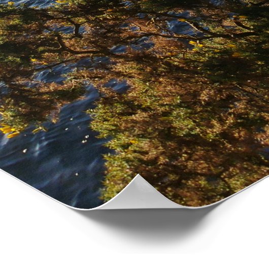 Causey Pike Poster (Hoek)