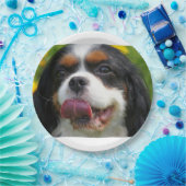 cav papieren bordje (Feest)