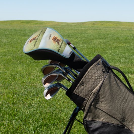cav ruby liefde pic golfheadcover (Insitu)
