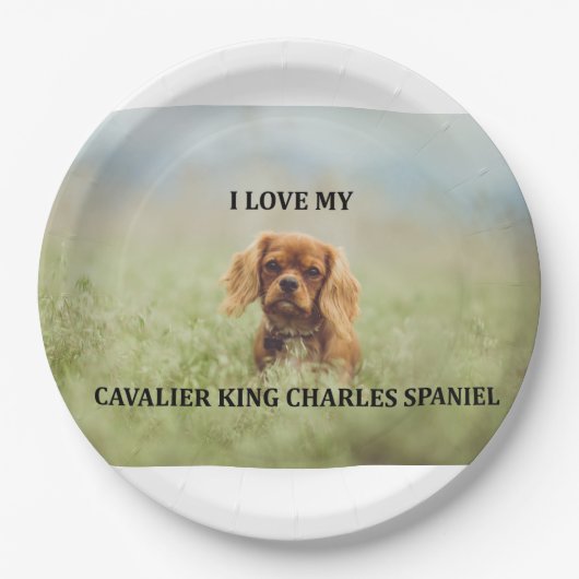 cav ruby liefde pic papieren bordje (Voorkant)