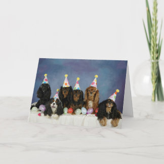 Cav-tastic Verjaardag Kaart