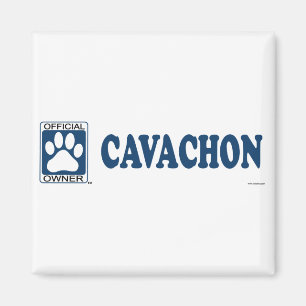 Cavachon Blue Magneet