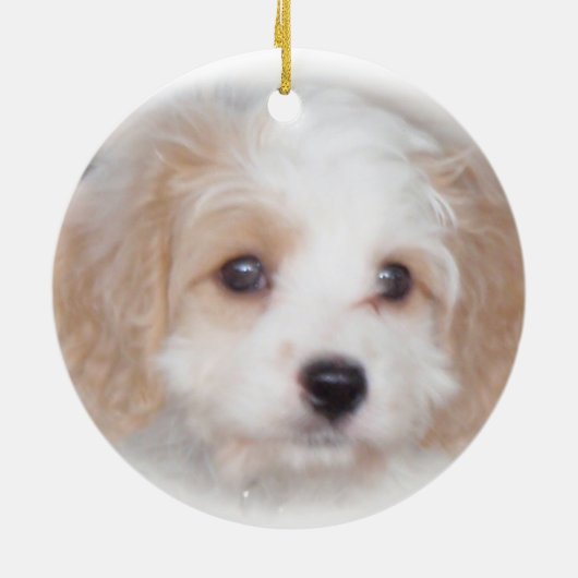 Cavachon Chase Ceramic Ornament (Achterkant)