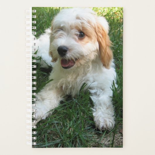 Cavachon Dog Photo Planner (Voorkant)