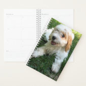 Cavachon Dog Photo Planner (Display)