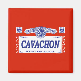 Cavachon Magneet