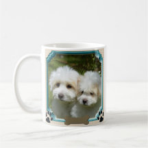 Cavachon-Mok, Gepersonaliseerd Dog-foto