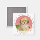 Cavachon Puppy Eerste Kerstmis Magneet (Voorkant / Achterkant)