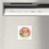 Cavachon Puppy Eerste Kerstmis Magneet (Insitu (Vaatwasser))