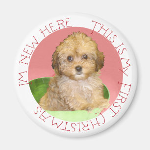 Cavachon Puppy Eerste Kerstmis Magneet