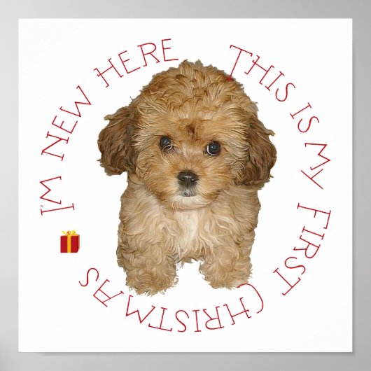 Cavachon Puppy Eerste Kerstmis Poster (Voorkant)
