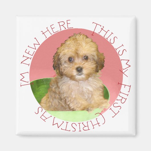 Cavachon Puppy First Kerstmis Magneet (Voorkant)