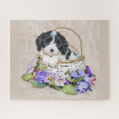 Cavachon Puppy in mandpuzzel Legpuzzel (Horizontaal)