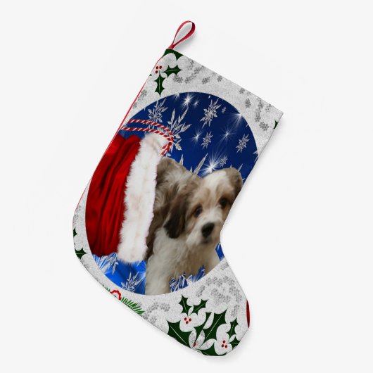 Cavachon Stocking, kersthond Kleine Kerstsok (Voorkant (Hangend))