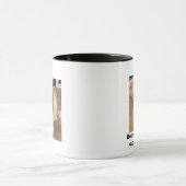 Cavachons beter dan een warme kop koffie (Midden)