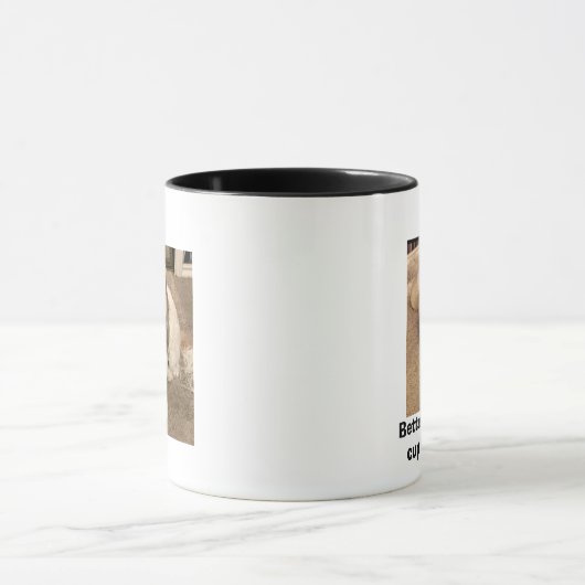 Cavachons beter dan een warme kop koffie (Midden)