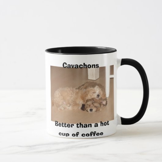Cavachons beter dan een warme kop koffie (Rechts)