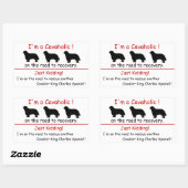 Cavaholic Cavalier King Charles Sticker (Vel)