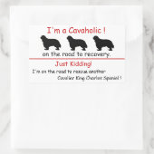 Cavaholic Cavalier King Charles Sticker (Tas)