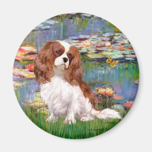 Cavalier 2 (bl) - Lilies 2 Magneet