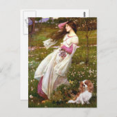 Cavalier 2 (Bl) - Moerbloemen Briefkaart (Voorkant / Achterkant)