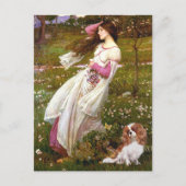 Cavalier 2 (Bl) - Moerbloemen Briefkaart (Voorkant)