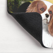 Cavalier 2 (Bl) - Mona Lisa Muismat (Hoek)