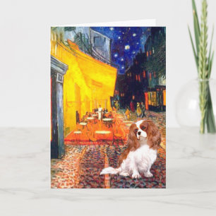 Cavalier 2 (Bl) - Terras Cafe Kaart