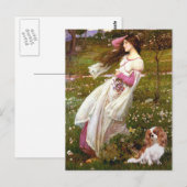 Cavalier 2 (Bl) - Windflowers Briefkaart (Voorkant / Achterkant)