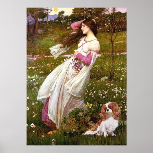 Cavalier 2 (Bl) - Windflowers Poster (Voorkant)