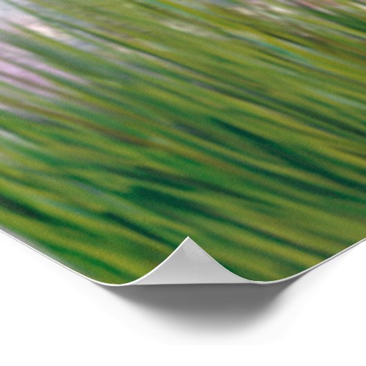 Cavalier 2 (blenheim) - Lilies 2 Poster (Hoek)