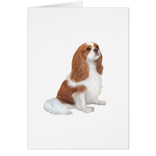 Cavalier A1 - Blenheim (F) (Voorkant)